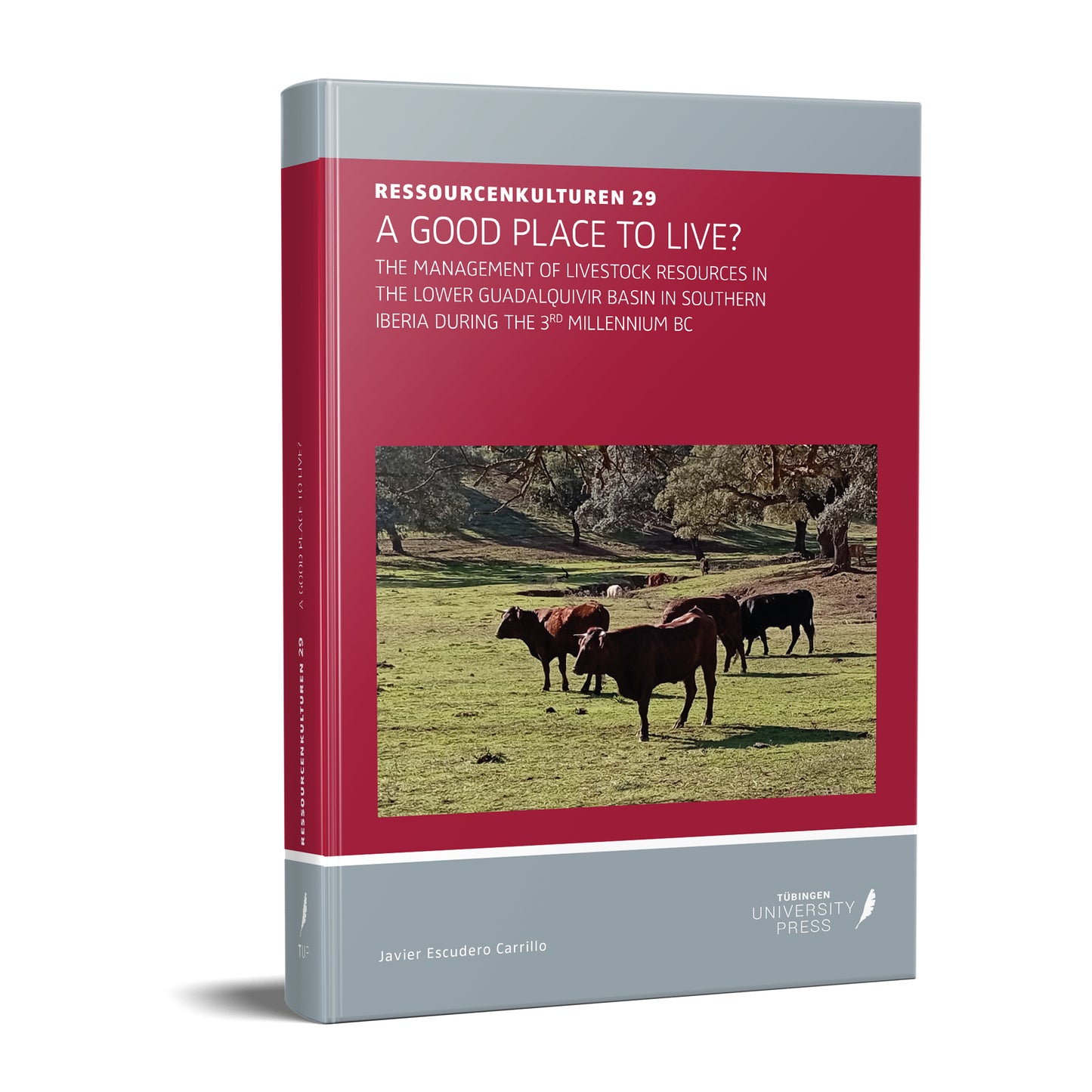 RessourcenKulturen 29 – A good place to live?