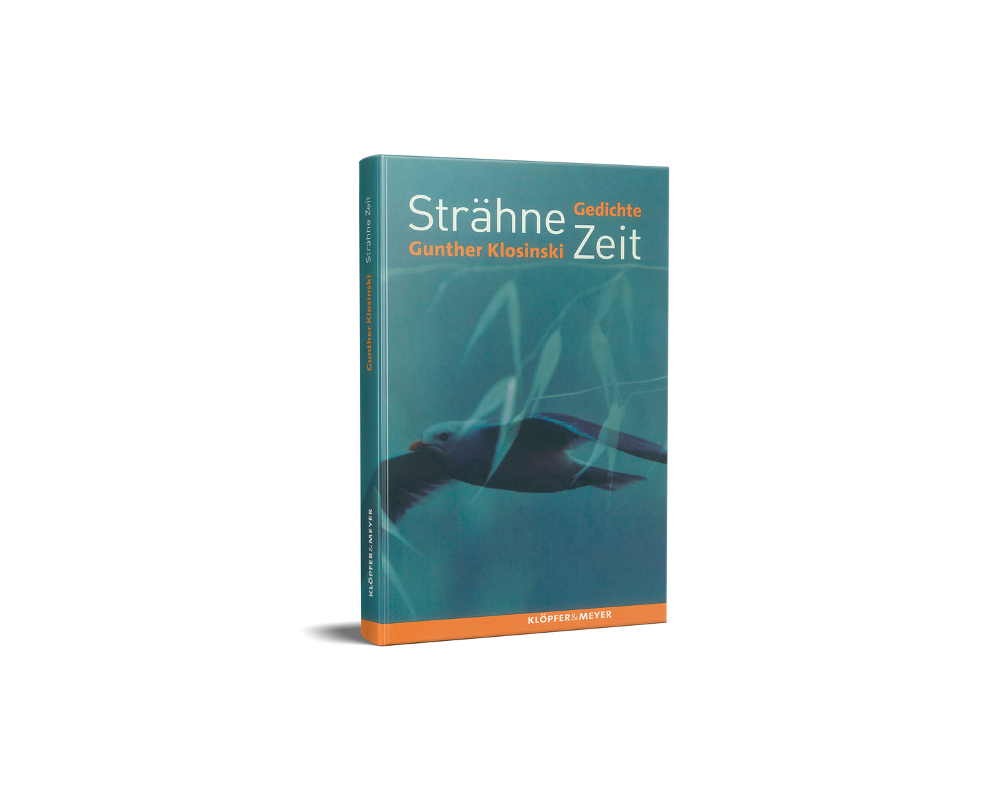 Strähne Zeit – Gedichte